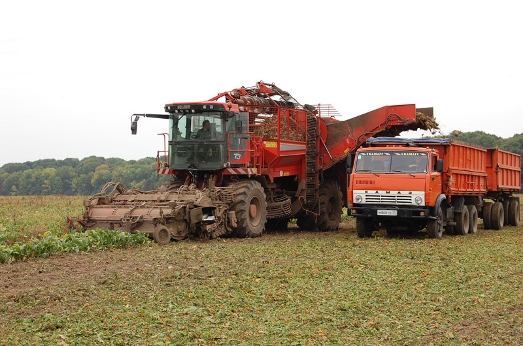 Валовий збір зернових в Україні становить майже 49 млн. тонн