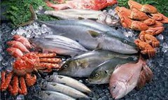Виробництво рибної продукції суттєво скоротилося