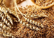 Закупівельні ціни на пшеницю в портах України виросли до 300 $/т