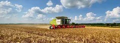 В Україні залишилося прибрати менше чверті площ під зерновими
