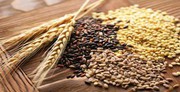 Україна повністю забезпечена продовольчим зерном
