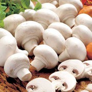 Україна збільшила виробництво грибів на 20%