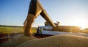 Аграрний фонд може стати частиною збереження стратегічних запасів зерна, – заява