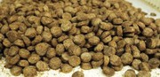 Українські корми для домашніх тварин експортуватимуть до Боснії і Герцеговини