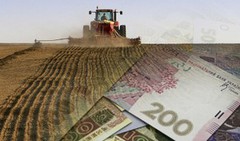 Законопроєкт про Фонд часткового гарантування кредитів у сільському господарстві прийнято