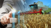 ЄБРР: Урожай сприяє зростанню економіки