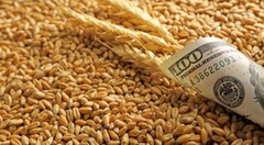 З початку 2021/2022 МР Україна експортувала 20,6 млн. тонн зерна