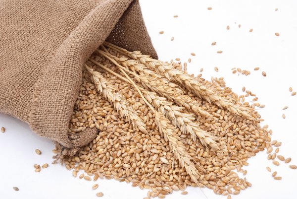 Україна повністю забезпечена продовольчою пшеницею, – Роман Лещенко