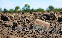 Як дослідження ґрунту допоможе оптимізувати витрати на добрива?