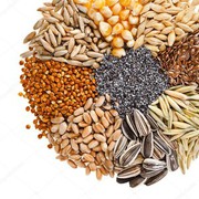 В Україні намолочено 73,4 млн тонн зерна.