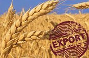 З початку 2021/2022 МР Україна експортувала 21,8 млн. тонн зерна