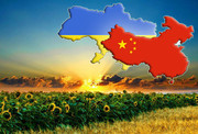 Україна і Китай – агросектор бере курс на харчову та продовольчу безпеку