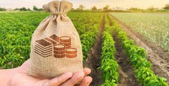 Підписано Закон «Про Фонд часткового гарантування кредитів у сільському господарстві».