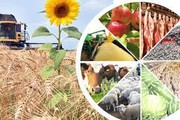Відбувся Всеукраїнський фермерський форум «Актуальні напрями державної підтримки агросектору»