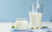 Ціни на молоко-сировину стабілізуються