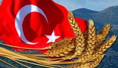 Турецька державна агенція ТМО придбала дві великі партії ячменю та пшениці, що виросли в ціні