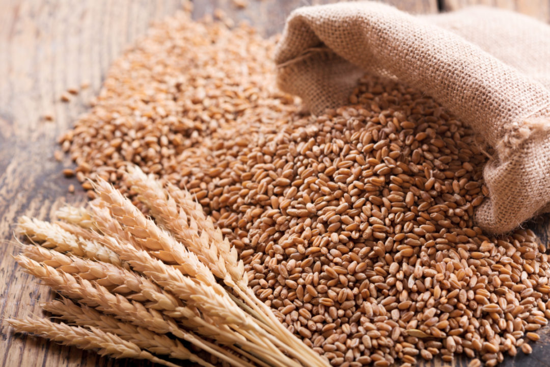 Австралія поточного сезону може оновити рекорд валового збору пшениці