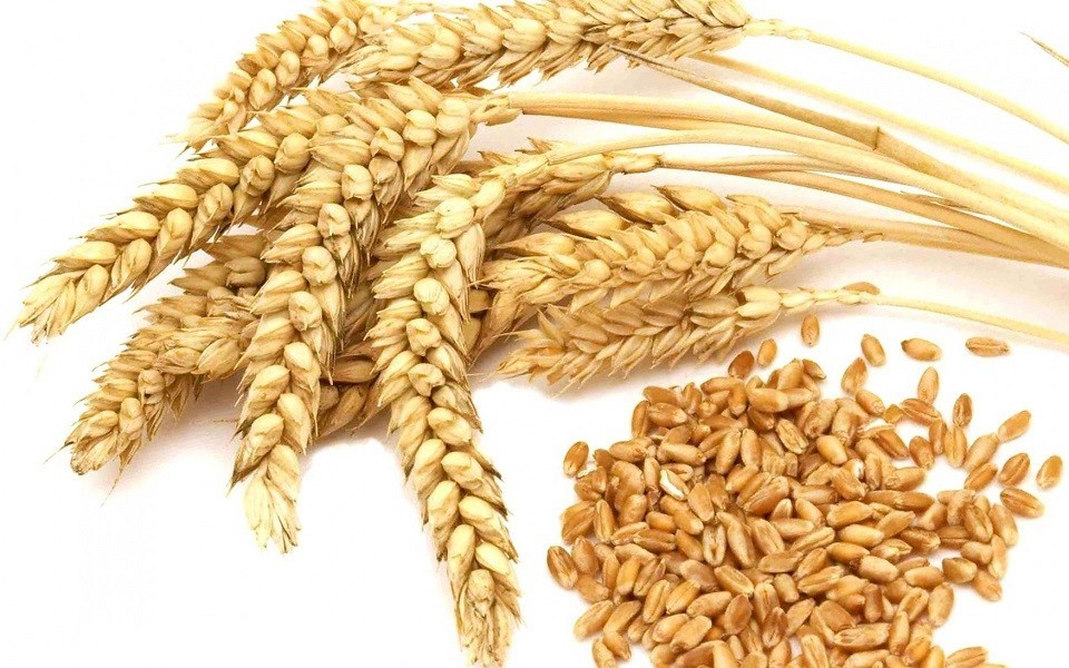 Саудівська Аравія оголосила тендер на 535 тисяч тонн пшениці