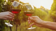 Вино планують виключити зі списку підакцизних товарів
