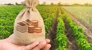 За 10 місяців 2021 року середньомісячна заробітна плата у сільському господарстві збільшилась на 18,5% - Мінагро