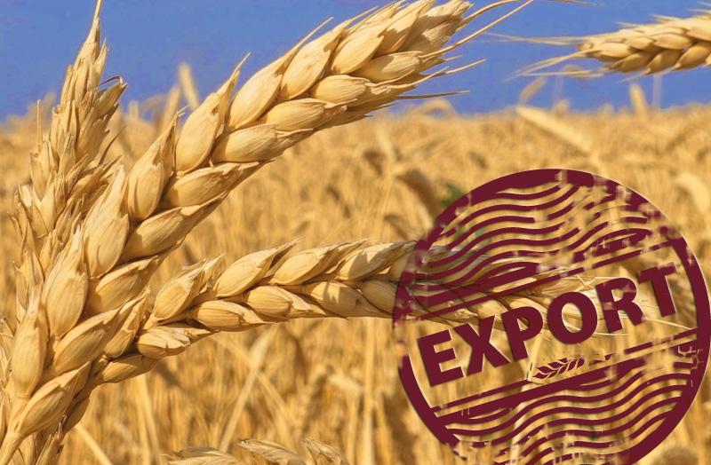 УЗА: немає жодних підстав для обмежень експорту пшениці на фоні рекордного врожаю