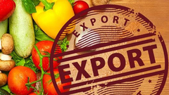 У 2021 році 380 українських підприємств мали право експорту власної продукції до ЄС