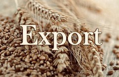 У 2021 році українські експортери показали найбільші показники з продажу продукції рослинництва - Мінекономіки