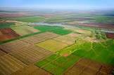 В Україні затвердили новий порядок консервації земель