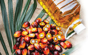 Індонезія ввела обов'язковий продаж пальмової олії на внутрішньому ринку