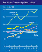 Індекс продовольчих цін зростає з-за подорожчання олій