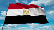 Єгипет планує диверсифікувати джерела імпорту пшениці