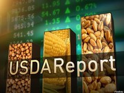 USDA знизив прогноз виробництва олійних, а також оцінки попиту, торгівлі та переробки