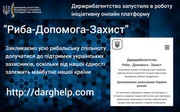Держрибагентство запустило в роботу ініціативну онлайн платформу "Риба-Допомога-Захист"