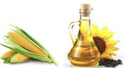 Уряд України скасував необхідність ліцензування експорту кукурудзи та соняшникової олії