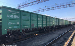 На Житомирщині зупинили вивіз 100 вагонів з добривами з Білорусі