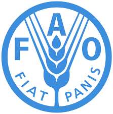 FAO: прогноз споживання зернових на 2021/22 МР — знижено