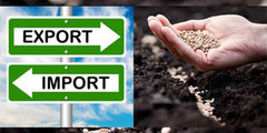 Уряд спрощує вимоги до імпорту та переміщення сільськогосподарської продукції рослинного походження, у т.ч. насіння, в умовах ВС