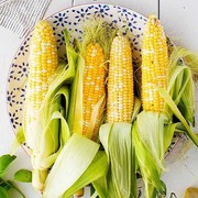 Фермери ЄС змушені переходити на ГМО-корми через блокаду імпорту кукурудзи з України