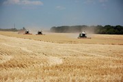 Урожай та експорт бразильської пшениці у 2022 році стануть рекордними