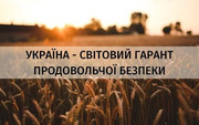 До України, як гаранта продовольчої безпеки, мають застосовуватися міжнародні норми безпеки, - Тарас Висоцький