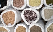 Мінагрополітики відповідно до вимог ЄС впроваджено уніфікований підхід до реєстрів кормів та каталогу кормових матеріалів