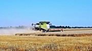 Єврокомісія знизила прогноз врожаю зернових у ЄС
