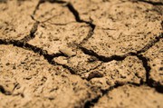 Тривалий дефіцит весняних та літніх опадів призвів до ґрунтової засухи під пізніми с/г культурами на більшості площ