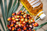 Індонезія скасувала експортне мито на пальмову олію до кінця літа