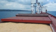 Наступні кораблі із зерном вже готові до відправлення з українських портів – Кулеба