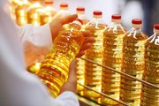Україні потрібно не просто виробляти олію, а і займатися її доробкою – «Укроліяпром»