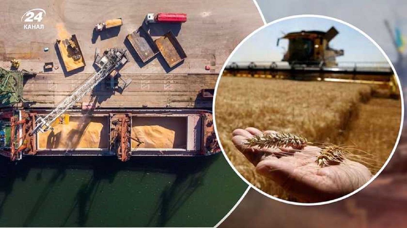 Існує ризик, що українцям бракне місця для зберігання зерна, – президент Української зернової асоціації