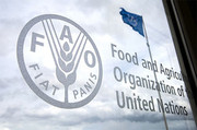 У липні відбулося різке падіння вартості Індексу продовольчих цін ФАО