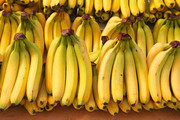 Експорт еквадорського банана зменшується внаслідок війни, спричиненою росією