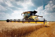 25,3 млн тонн зернових намолотили українські аграрії